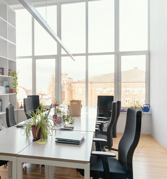 Modern HMZ Holding business environment